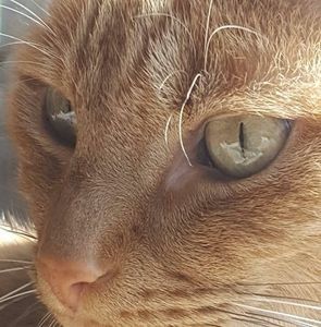 Meet your Posher, Lee